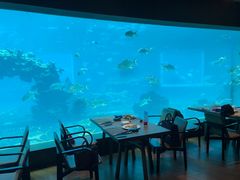 -海棠湾洲际-涛·海底餐厅·美人鱼·自助餐·海底隧道