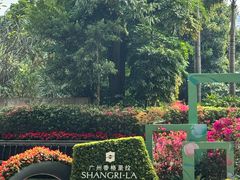 -广州香格里拉酒店