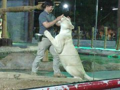 -清迈夜间动物园