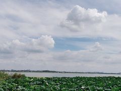 -阳澄湖半岛旅游度假区