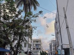 -后海村