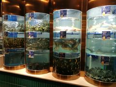 -香坝坝鲜鱼火锅(春熙路店)