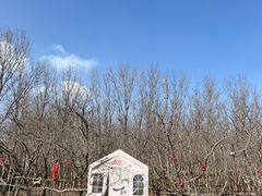 -香木香羊(小汤山店)