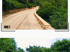 -北京西山国家森林公园