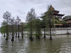 -顺峰山公园
