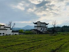 -塔川景区