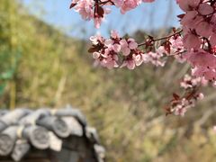 景点-竹子庵公园