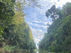 -前小桔亲子创意农场·草莓采摘·露营烧烤