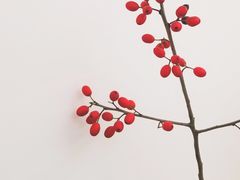-Onirii Coffee(长乐路店)
