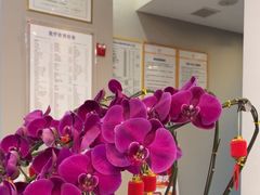 -土豆口腔(凤凰北总店)