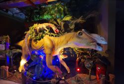 -恐龙探索乐园(磁器口店)