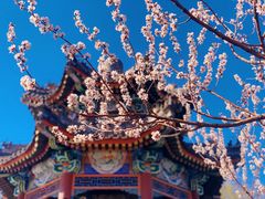 -颐和园