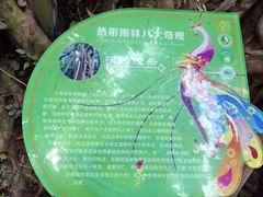 -西双版纳原始森林公园