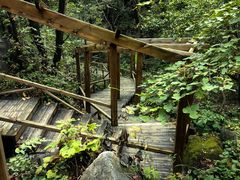 -大岭沟猕猴桃谷风景区