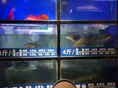 水产区-爱妻鱼•老体北重庆水煮鱼•川菜(白云路店)