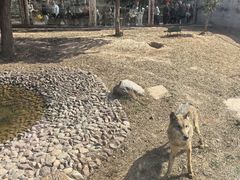 -五龙山野生动物王国