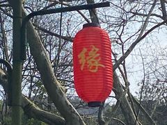 -杭州黄龙洞
