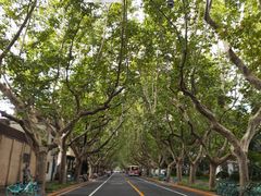 -一尺花园(安和花园店)