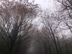 -东白山
