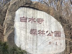 -白水寺森林公园