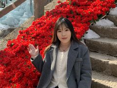 -洛阳白云山景区