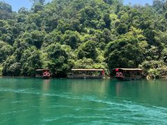 -鼎湖山风景区