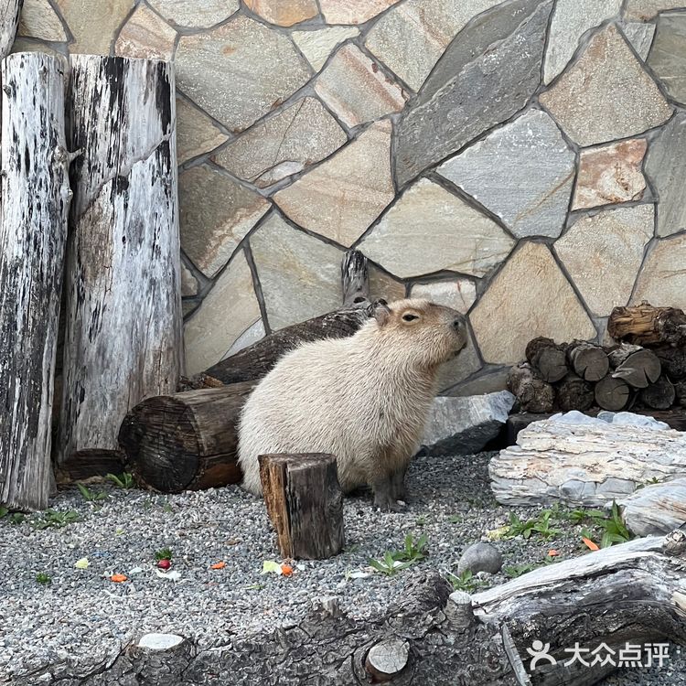 闹市中的仙境 零距离动物世界