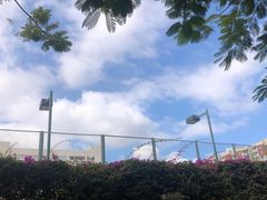-演武大桥观景平台