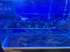 -熙楼(翠湖店)