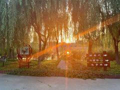 -塘沽森林公园