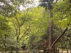 -白云源风景区