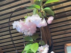 -墨宴(西洋湖店)