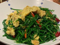 -纳瓦新疆菜(银都店)
