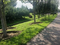 -永定河休闲森林公园