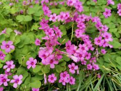 -杭州城北体育公园