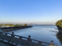 -大湾区中央湿地公园