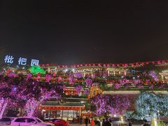 -枇杷园食为鲜火锅(南山店)