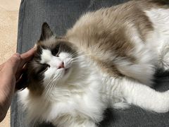 -零纪元VR体验馆·桌游(黄浦店)