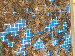 -半岛听涛蒸汽海鲜自助(K11店)