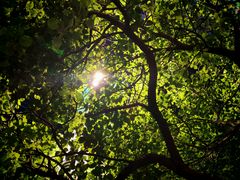 -德克士(武都2店)