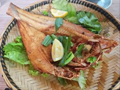 -缘生态云南菜·野生菌庭院餐厅(华侨城店)