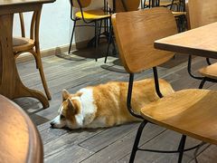 -肥朵食堂(带梦胡同店)