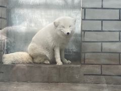 -银川动物园