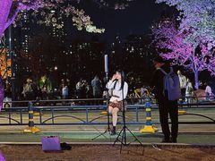 -西北湖绿化广场