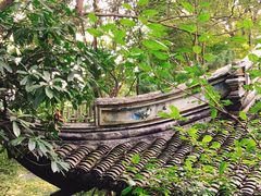 -绮园景区