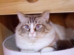 -白兔子密室(长寿路店)