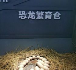 -恐龙探索乐园(磁器口店)