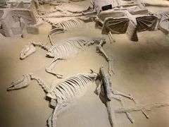 -洛阳周王城天子驾六博物馆