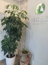 -美丽田园