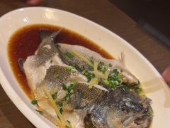 -HOHO餐厅(古子城店)